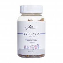 Acvelon Комплекс на основе Эхинацеи для повышения иммунитета детей с 2 лет / Echinacea gummies (60 жевательных пластинок)