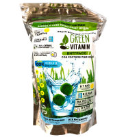 Green Vitamin Витграсс 810 гр.