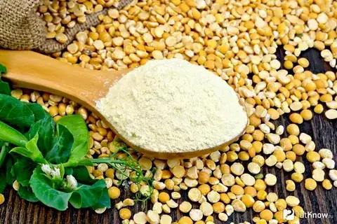 Konoplektika Натуральный белок из гороха 500 гр
