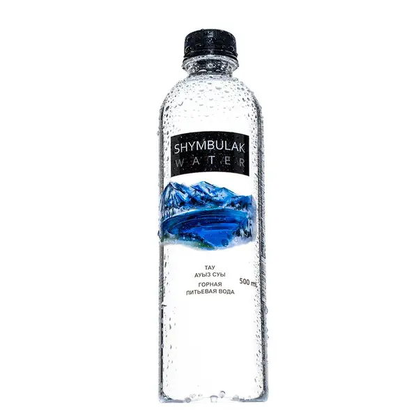 Shymbulak water 500 мл.