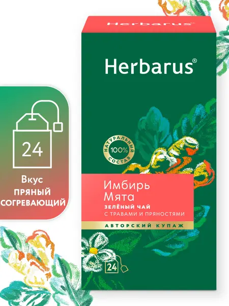 Herbarus Зеленый Чай пакетированный "Имбирь Мята" 24 п.