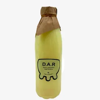 D.A.R. detox сусыны 1л