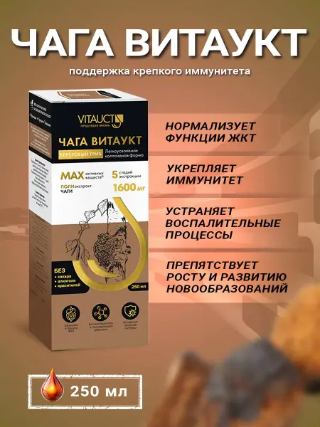 VITAUCT Чага Березовый гриб 250 мл