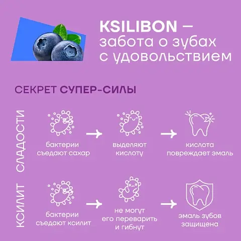 KSILIbon Леденцы на палочке Лесная голубика 1 шт.