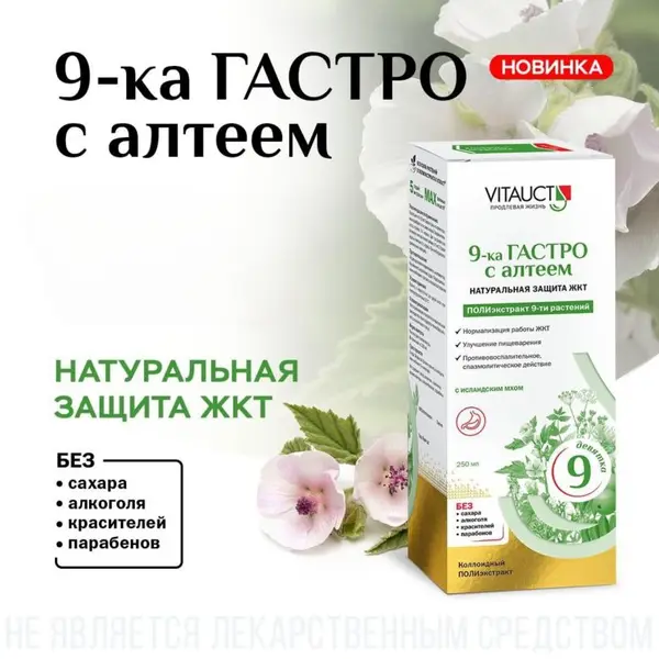 VITAUCT 9-ка Гастро с алтеем для ЖКТ 250мл.
